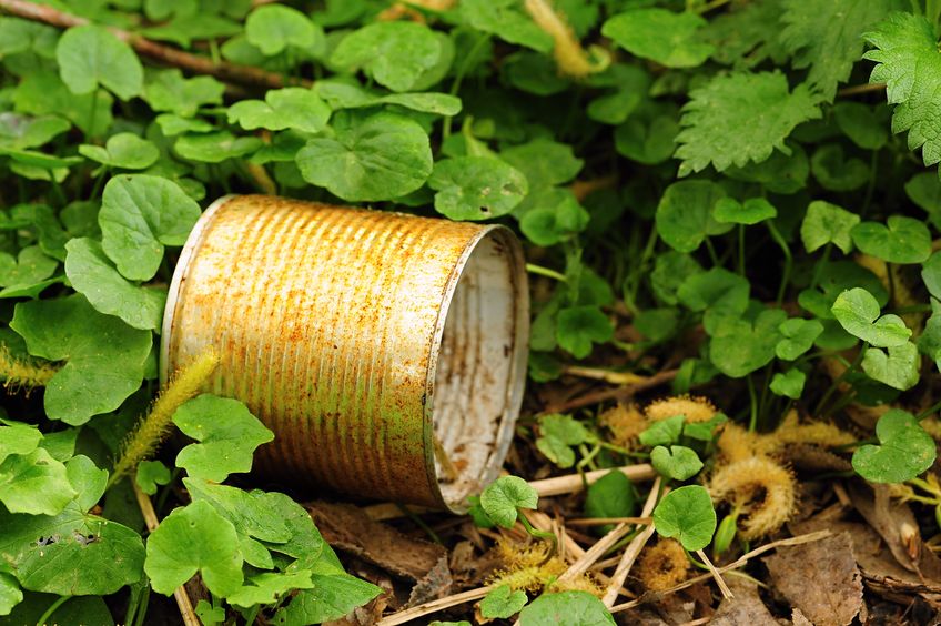 Óvja meg telkét: Gyűjtse a veszélyes hulladékot speciális konténerben!